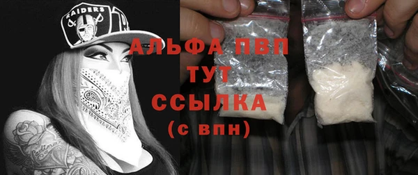 шишки Дмитровск