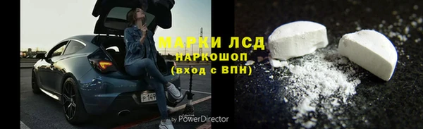 шишки Дмитровск