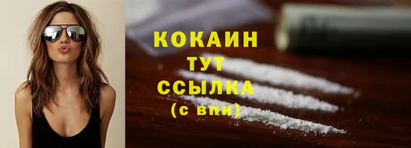 2c-b Гусев