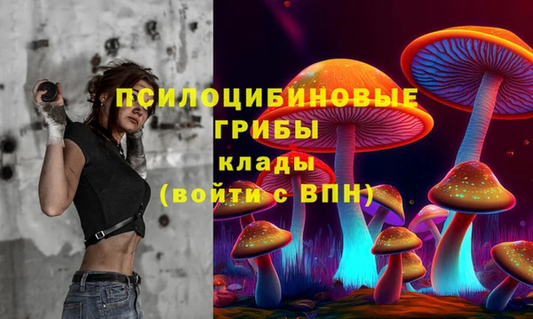 трава Дмитриев