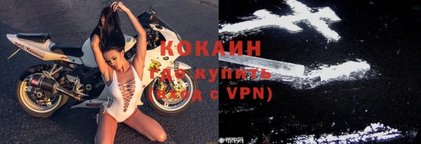 шишки Дмитровск