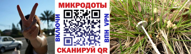 Псилоцибиновые грибы ЛСД  Братск 